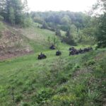 Bosnien Testfahrten Mit Outlander 700 Kladusa Velica 4 24 (116) (Benutzerdefiniert)