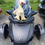Frühjahrsausfahrt Spyder Ryker 2025 Plattensee (51)