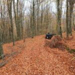 Bosnien 11 2025 (42)